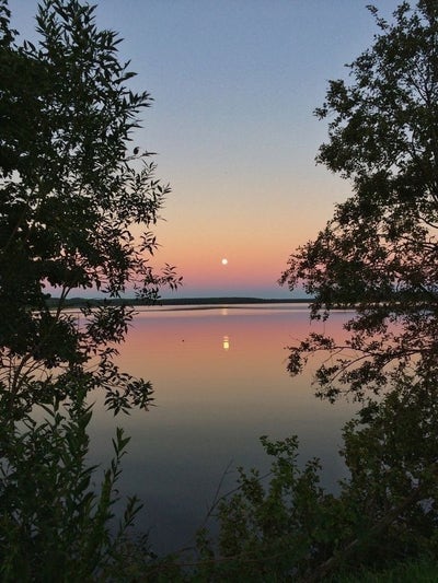 Room wanted in White Plains, NY Main Photo