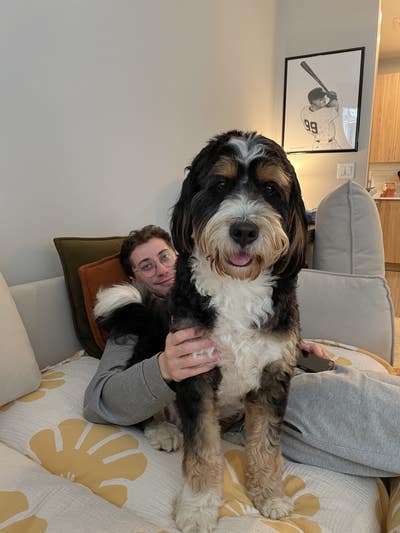 Room wanted in New Jersey Main Photo