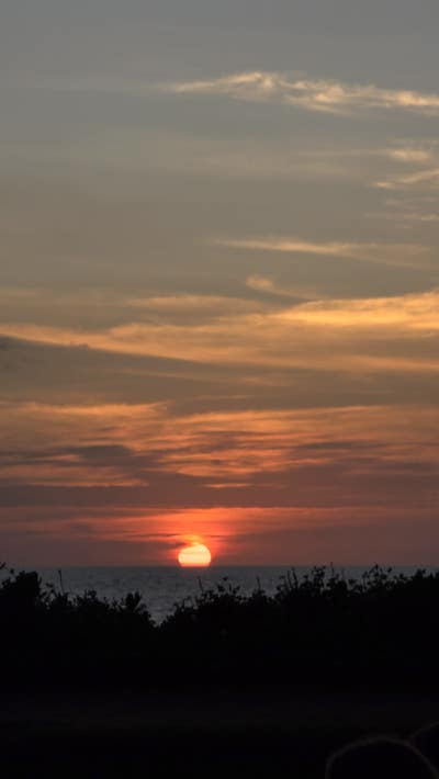 Room wanted in Scottsdale, AZ Main Photo