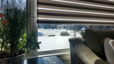 Room wanted in Jersey City, NJ Main Photo