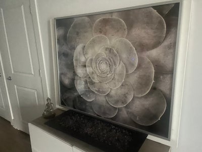 Room wanted in New York Main Photo