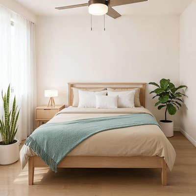 Live in Bluff Springs Main Photo