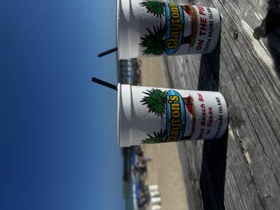 Room wanted in Austin, TX Main Photo