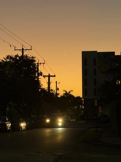 Room wanted in Miami Main Photo