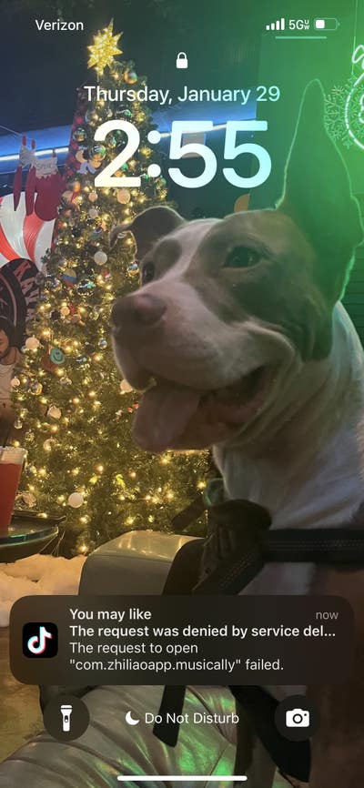 Room wanted in Fort Lauderdale, FL Main Photo