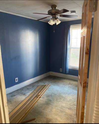 $900 Room For Rent Malden Ma Available Now Main Photo