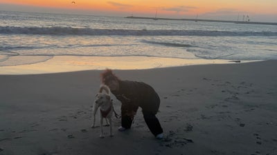 Room wanted in Los Angeles/Inglewood/MDR Main Photo