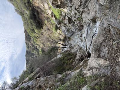 Female student looking for North Hollywood room Main Photo