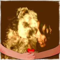 Student looking for a room in 90815 area Main Photo