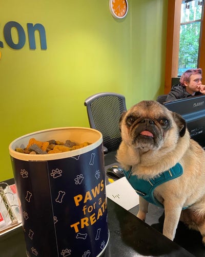 Room wanted in Burien, WA Main Photo