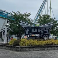 Room wanted in Orlando Main Photo