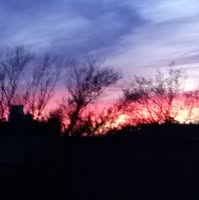 Room wanted in Brooklyn, NY Main Photo