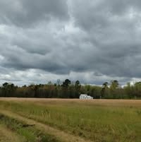 Room wanted in Orlando, FL Main Photo