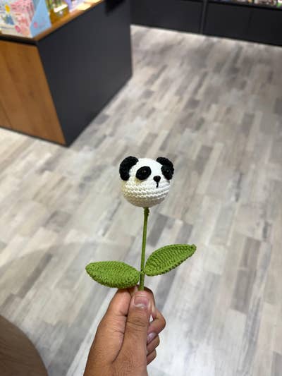 Room wanted in Houston Main Photo