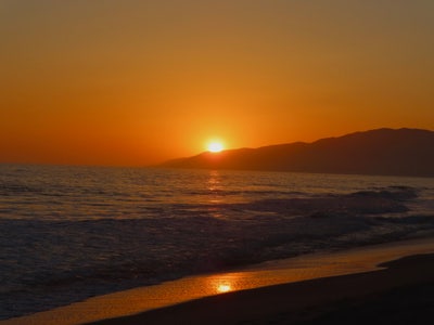 Responsible woman needs LA room as soon as poss... Main Photo