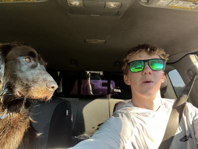 Room wanted in Dallas Main Photo