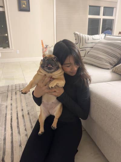 Room wanted in San Diego Main Photo