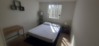 Sparecroom in camden plantation Main Photo