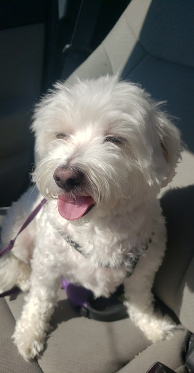 Room wanted in Fairless Hills, PA Main Photo