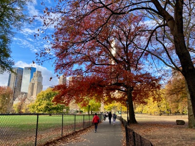 Room wanted in Queens, NY Main Photo