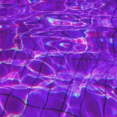 Room wanted in Brooklyn, NY Main Photo