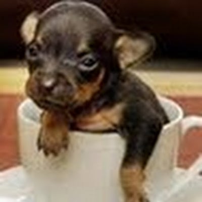 Male looking for a room in Gardena for April Main Photo