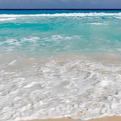 Room wanted in NYC Main Photo