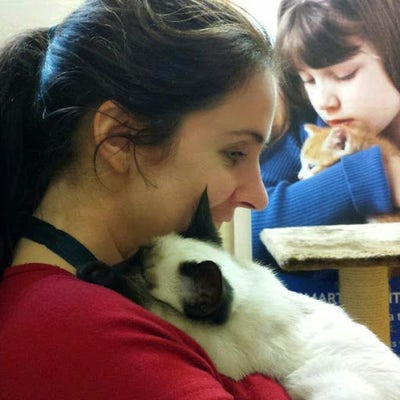 Room wanted in LA Mesa, CA Main Photo