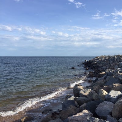 Room wanted in Journal Square, NJ Main Photo