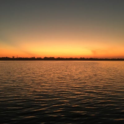 Room wanted in NYC Main Photo