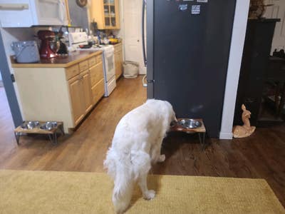 Roommate wanted  Main Photo