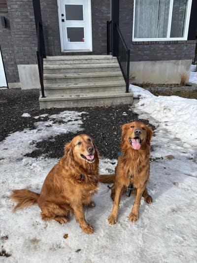 Room wanted in NYC Main Photo