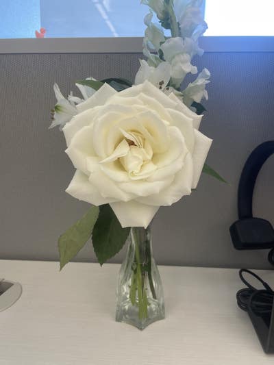 Room wanted in Round Rock, TX Main Photo