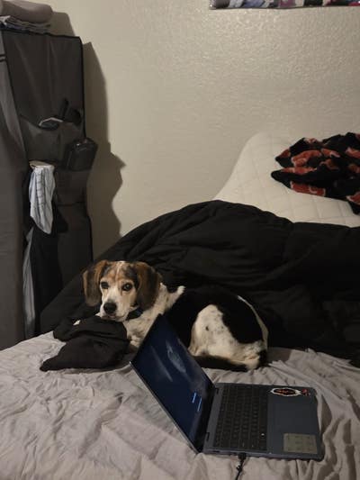 work in south austin Main Photo