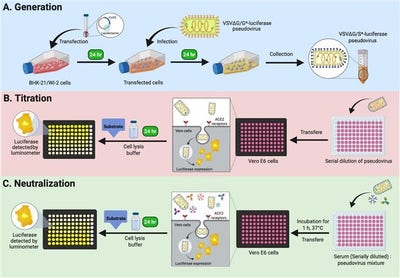 Room wanted in San Diego Main Photo