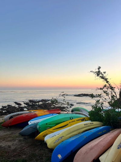 Business owner looking for Laguna Beach room Main Photo