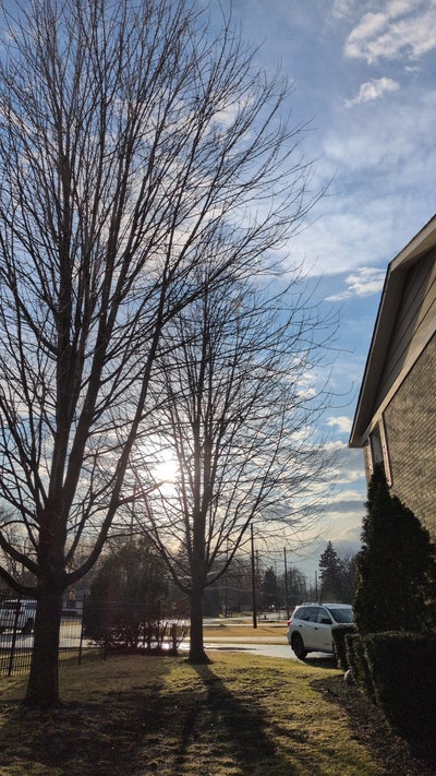 Room wanted in Elgin, TX Main Photo