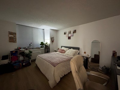Looking for female flatmate for a master bedroom Main Photo