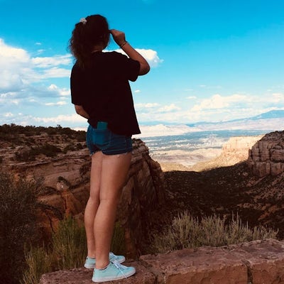 Room wanted in Tampa Main Photo