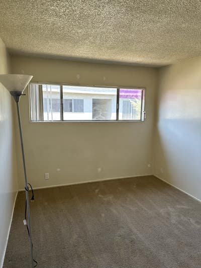 Room in NOHO Main Photo