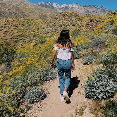 Room wanted in NYC Main Photo