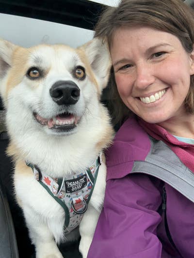 Room wanted in Charlotte Main Photo