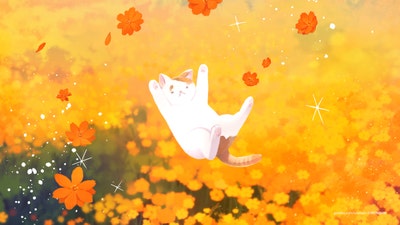 Student looking for a room in Oceanside CA Main Photo