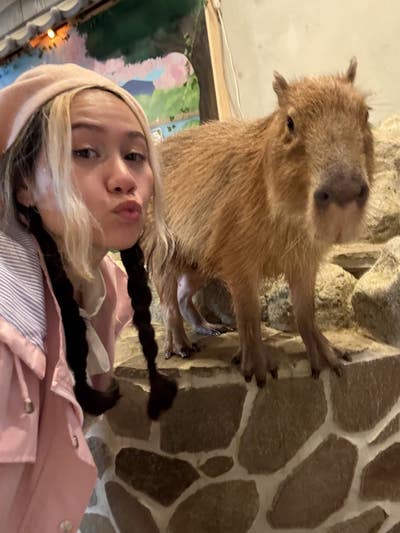 Roommate wanted  Main Photo