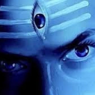 Room wanted in San Francisco Bay Area Main Photo