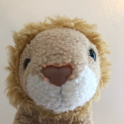 Room wanted in New Jersey Main Photo