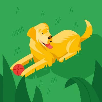 Room wanted in Irving, TX Main Photo