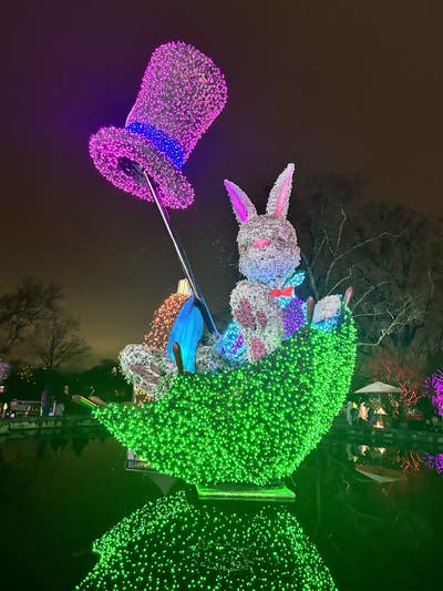 Room wanted in Brookhaven Main Photo