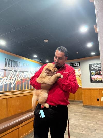 Room wanted in San Diego County, CA Main Photo