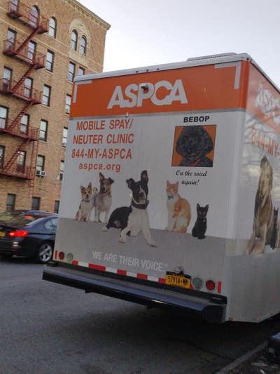 Room wanted in New York Main Photo